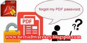 pdf password recovery professional